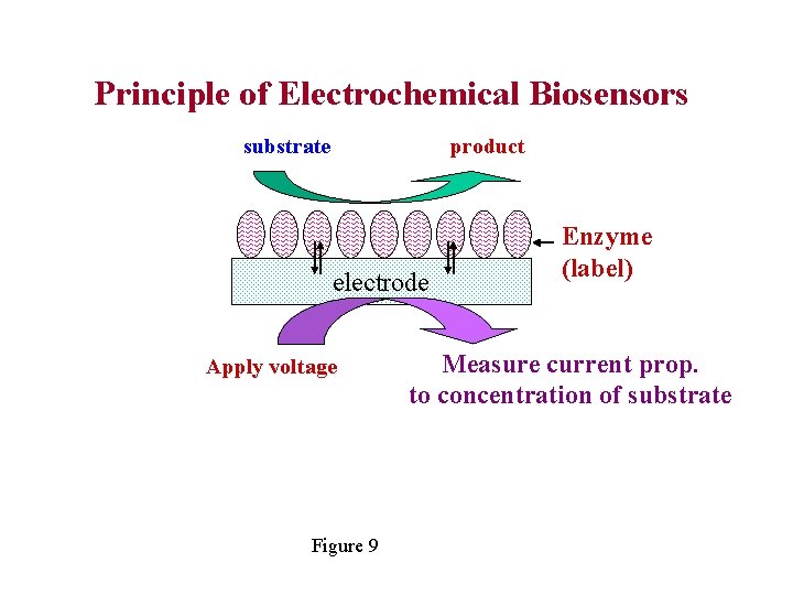 Principle of Electrochemical Biosensors substrate product electrode Apply voltage Figure 9 Enzyme (label) Measure