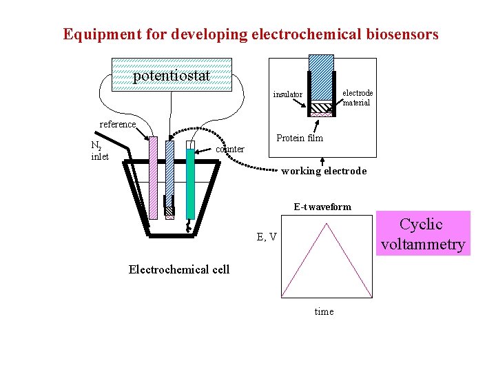 Equipment for developing electrochemical biosensors potentiostat electrode material insulator reference N 2 inlet Protein