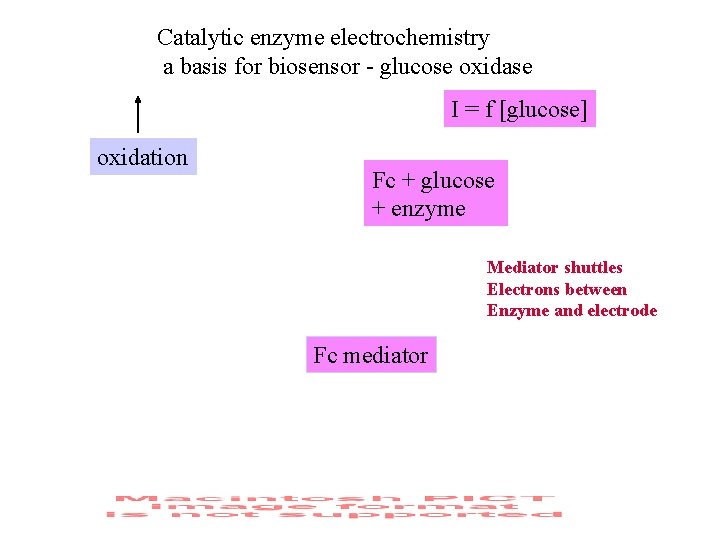 Catalytic enzyme electrochemistry a basis for biosensor - glucose oxidase I = f [glucose]
