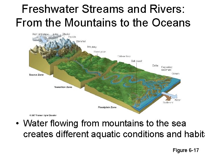 Freshwater Streams and Rivers: From the Mountains to the Oceans • Water flowing from