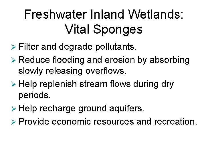 Freshwater Inland Wetlands: Vital Sponges Ø Filter and degrade pollutants. Ø Reduce flooding and