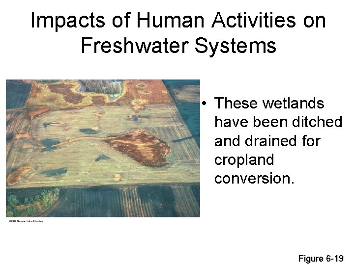 Impacts of Human Activities on Freshwater Systems • These wetlands have been ditched and