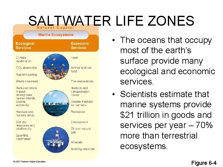 SALTWATER LIFE ZONES • The oceans that occupy most of the earth’s surface provide