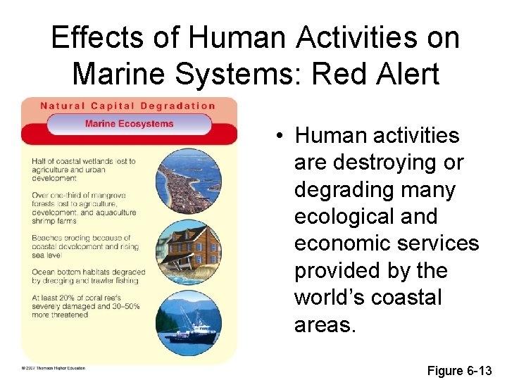 Effects of Human Activities on Marine Systems: Red Alert • Human activities are destroying