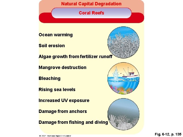 Natural Capital Degradation Coral Reefs Ocean warming Soil erosion Algae growth from fertilizer runoff