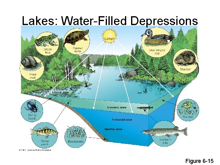 Lakes: Water-Filled Depressions Figure 6 -15 