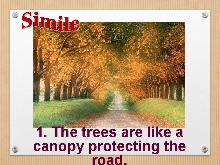 1. The trees are like a canopy protecting the 