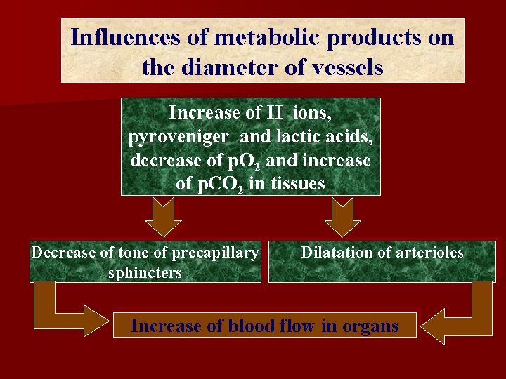 Influences of metabolic products on the diameter of vessels Increase of Н+ ions, pyroveniger Influences of metabolic products on the diameter of vessels Increase of Н+ ions, pyroveniger
