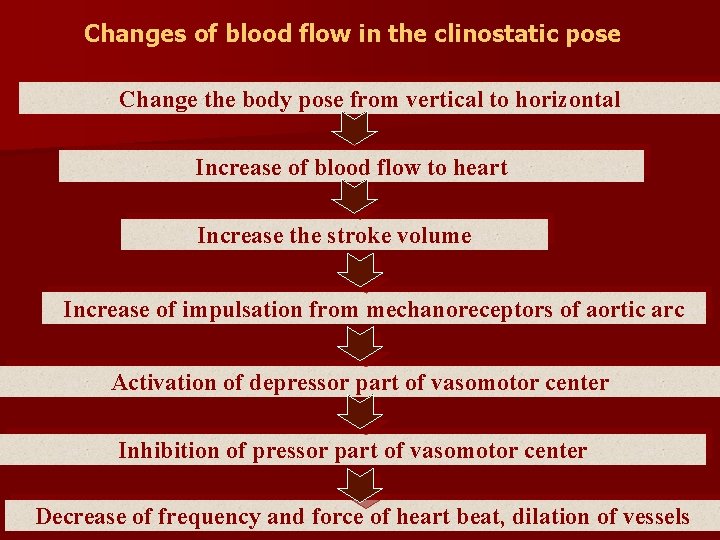 Changes of blood flow in the clinostatic pose Change the body pose from vertical Changes of blood flow in the clinostatic pose Change the body pose from vertical