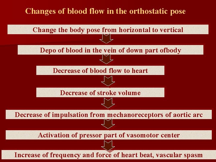 Changes of blood flow in the orthostatic pose Change the body pose from horizontal Changes of blood flow in the orthostatic pose Change the body pose from horizontal