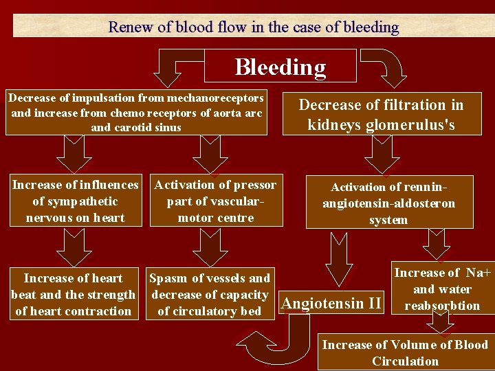 Renew of blood flow in the case of bleeding Bleeding Decrease of impulsation from Renew of blood flow in the case of bleeding Bleeding Decrease of impulsation from
