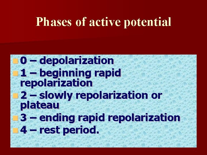 Phases of active potential n 0 n 1 – depolarization – beginning rapid repolarization Phases of active potential n 0 n 1 – depolarization – beginning rapid repolarization