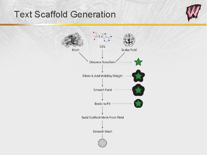 Text Scaffold Generation 