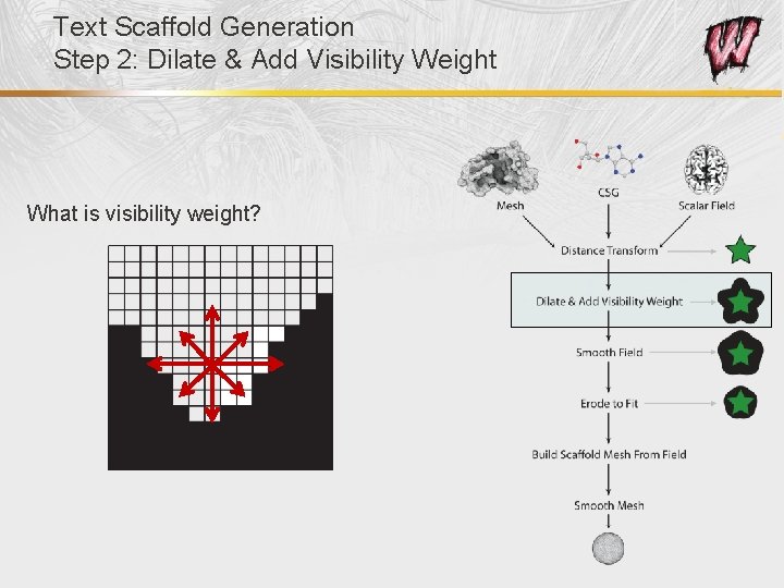 Text Scaffold Generation Step 2: Dilate & Add Visibility Weight What is visibility weight?