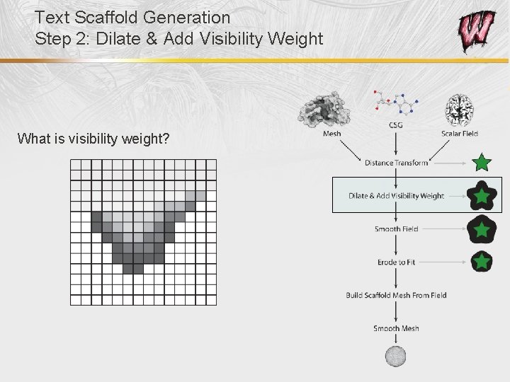 Text Scaffold Generation Step 2: Dilate & Add Visibility Weight What is visibility weight?