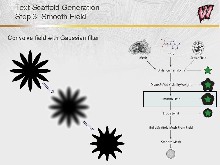 Text Scaffold Generation Step 3: Smooth Field Convolve field with Gaussian filter 