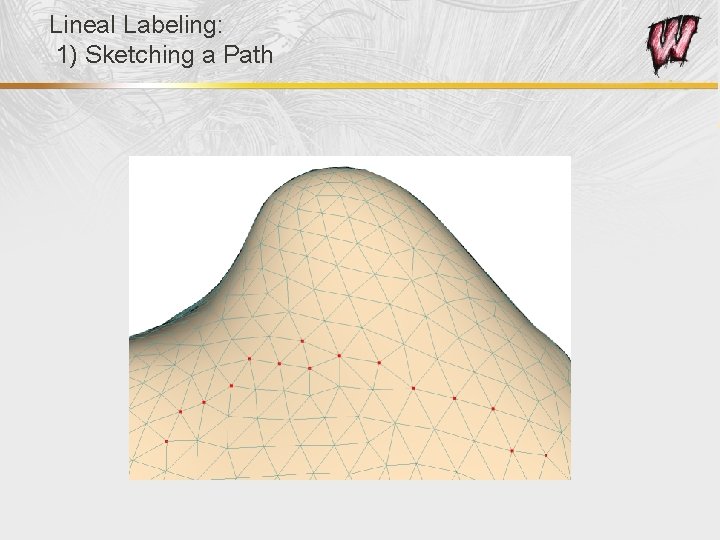 Lineal Labeling: 1) Sketching a Path 
