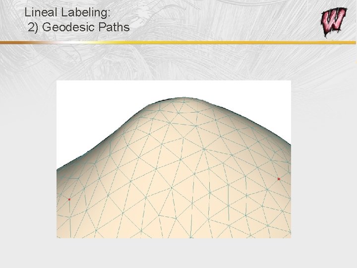 Lineal Labeling: 2) Geodesic Paths 