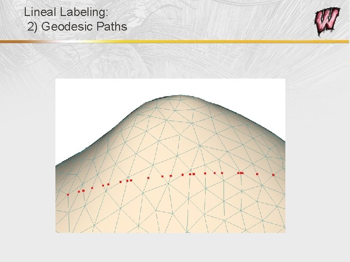 Lineal Labeling: 2) Geodesic Paths 