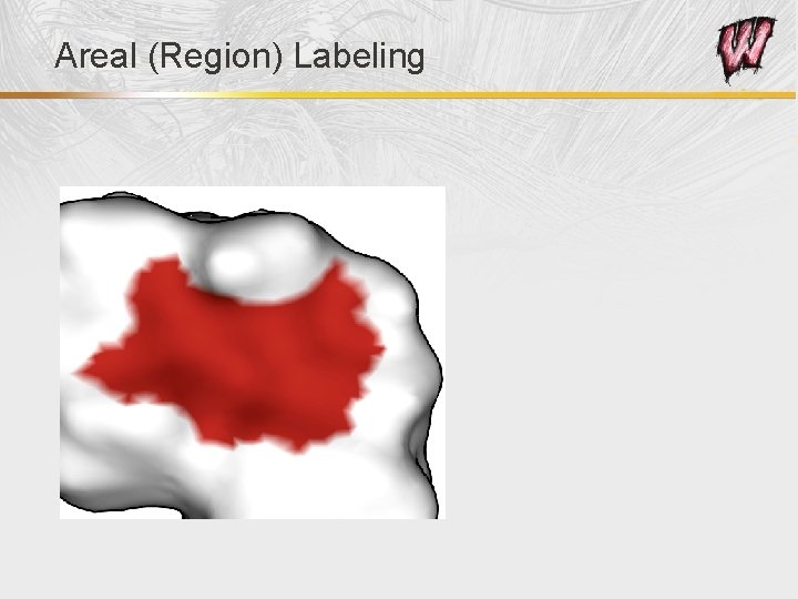 Areal (Region) Labeling 