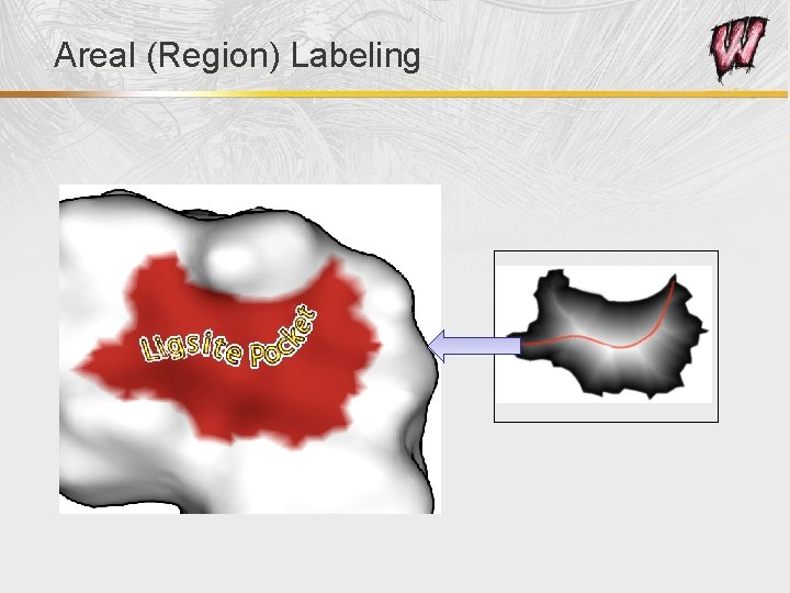 Areal (Region) Labeling 