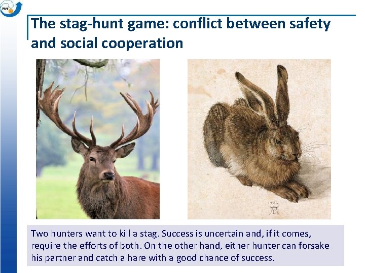 The stag-hunt game: conflict between safety and social cooperation Two hunters want to kill