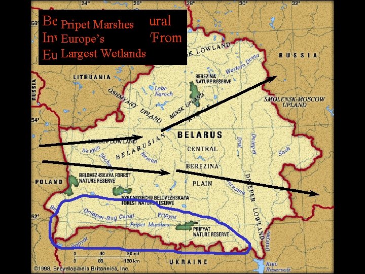 Belarus The Natural Pripet. Is Marshes Invasion Route To/From Europe’s Largest Wetlands Europe/Russia 
