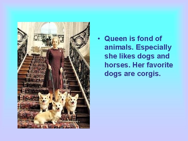  • Queen is fond of animals. Especially she likes dogs and horses. Her