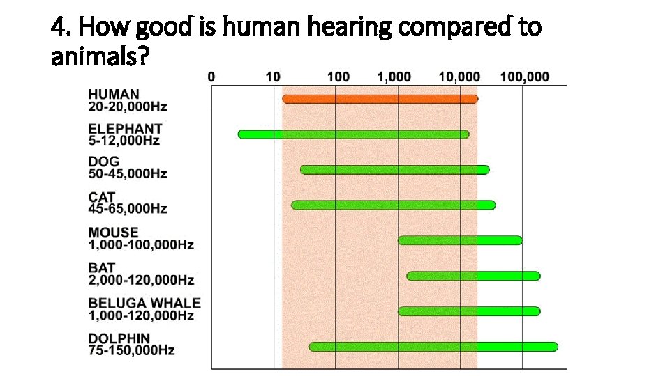 4. How good is human hearing compared to animals? 