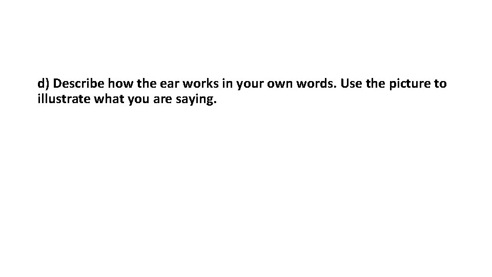 d) Describe how the ear works in your own words. Use the picture to