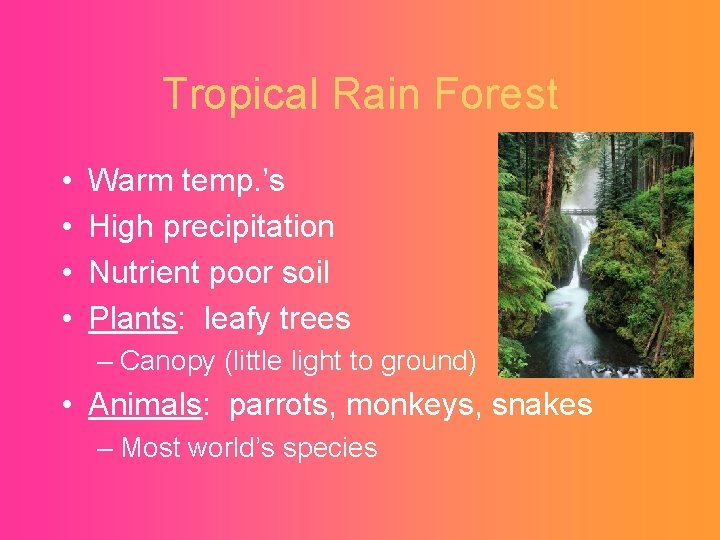 Tropical Rain Forest • • Warm temp. ’s High precipitation Nutrient poor soil Plants: