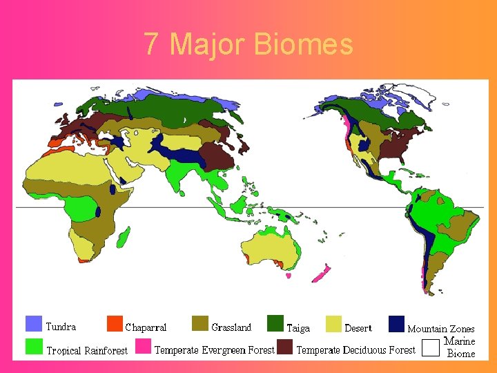 7 Major Biomes 