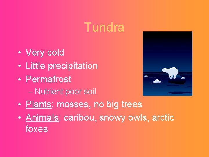 Tundra • Very cold • Little precipitation • Permafrost – Nutrient poor soil •