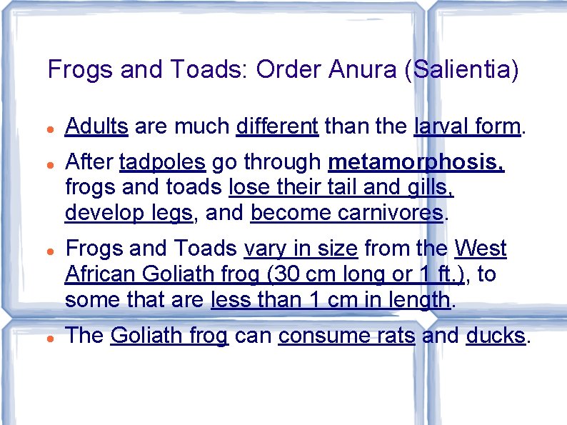 Frogs and Toads: Order Anura (Salientia) Adults are much different than the larval form.