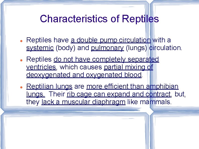 Characteristics of Reptiles have a double pump circulation with a systemic (body) and pulmonary