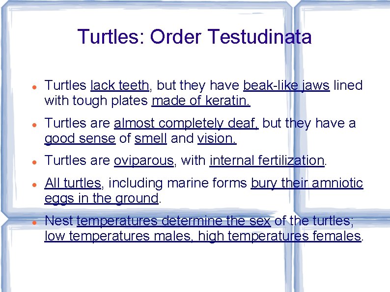 Turtles: Order Testudinata Turtles lack teeth, but they have beak-like jaws lined with tough