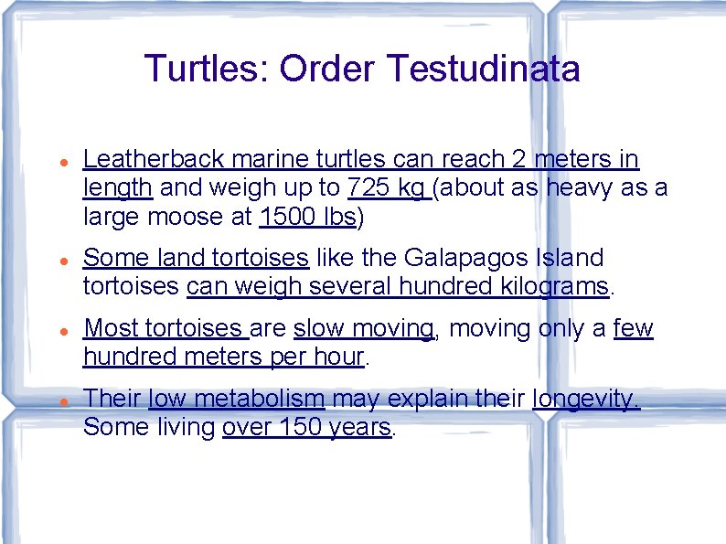 Turtles: Order Testudinata Leatherback marine turtles can reach 2 meters in length and weigh