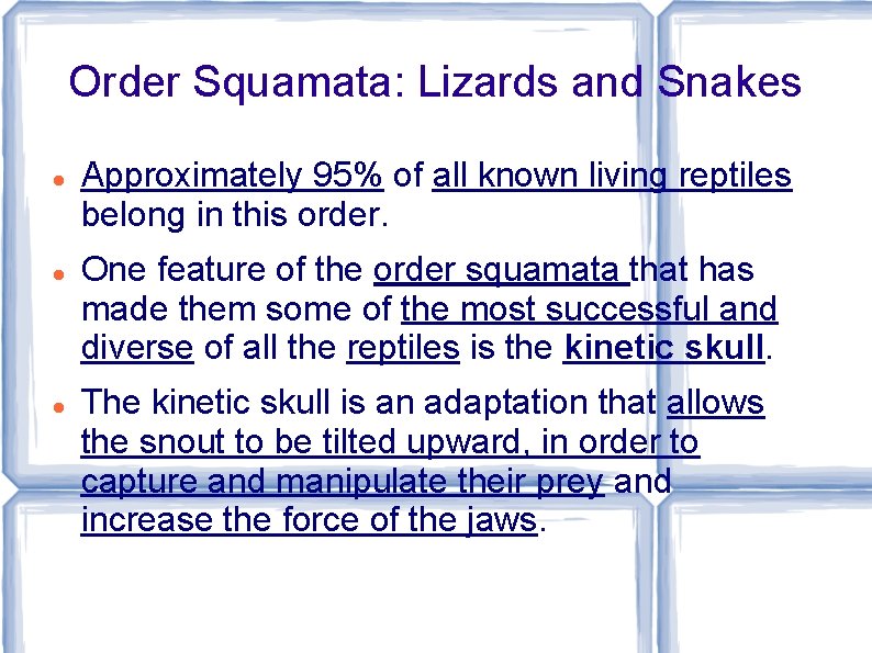 Order Squamata: Lizards and Snakes Approximately 95% of all known living reptiles belong in