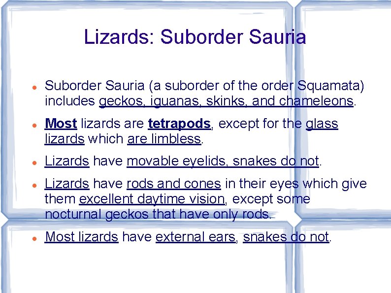 Lizards: Suborder Sauria Suborder Sauria (a suborder of the order Squamata) includes geckos, iguanas,