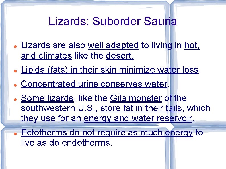 Lizards: Suborder Sauria Lizards are also well adapted to living in hot, arid climates