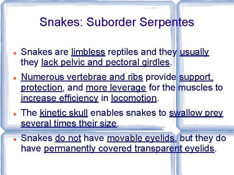 Snakes: Suborder Serpentes Snakes are limbless reptiles and they usually they lack pelvic and