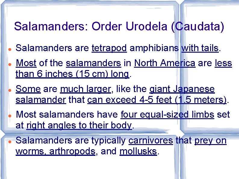 Salamanders: Order Urodela (Caudata) Salamanders are tetrapod amphibians with tails. Most of the salamanders