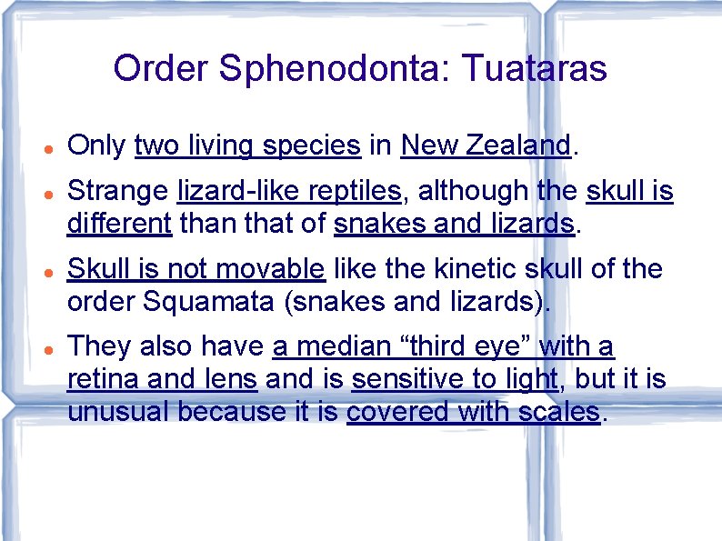 Order Sphenodonta: Tuataras Only two living species in New Zealand. Strange lizard-like reptiles, although