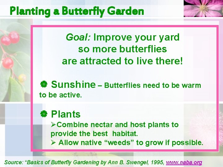 Planting a Butterfly Garden Goal: Improve your yard so more butterflies are attracted to