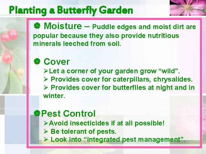 Planting a Butterfly Garden | Moisture – Puddle edges and moist dirt are popular