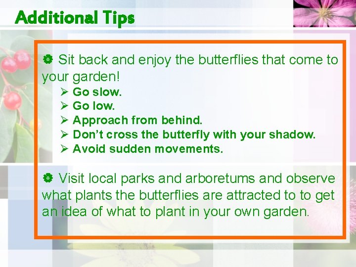 Additional Tips | Sit back and enjoy the butterflies that come to your garden!