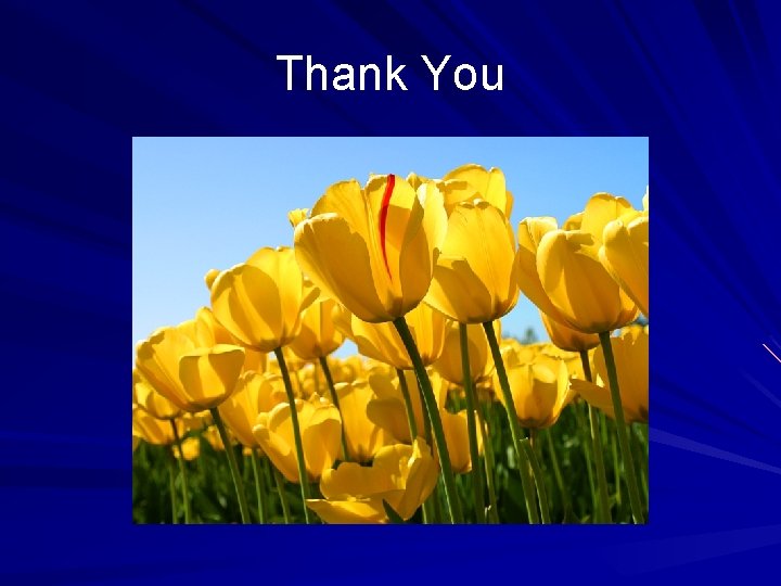 Thank You 