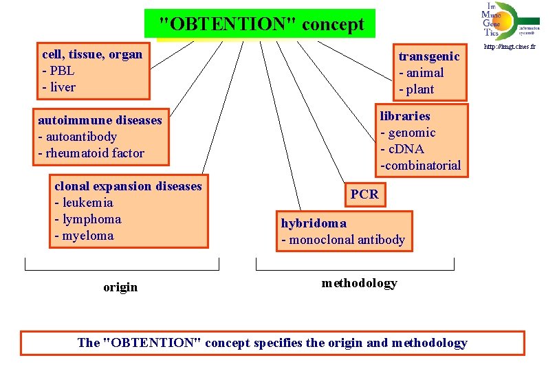  "OBTENTION" concept cell, tissue, organ - PBL - liver transgenic - animal -