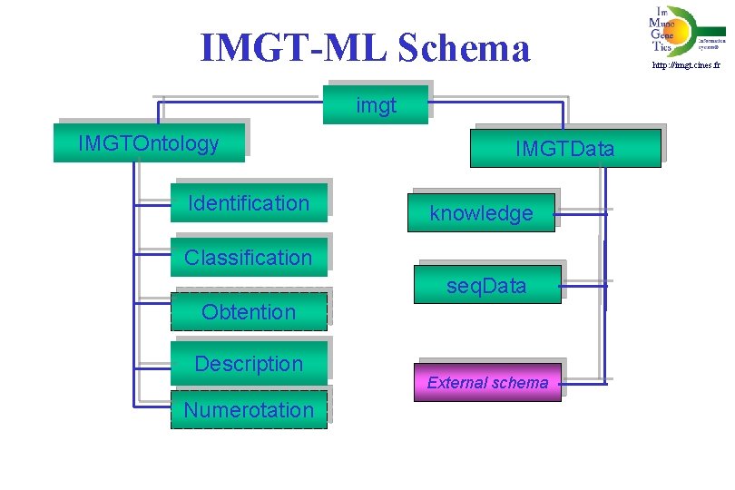 IMGT-ML Schema imgt IMGTOntology Identification IMGTData knowledge Classification seq. Data Obtention Description Numerotation External