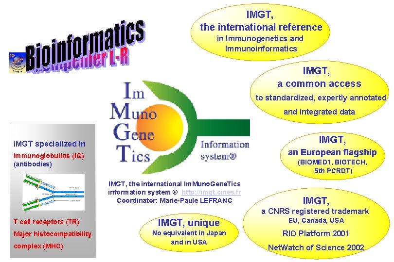 IMGT, the international reference in Immunogenetics and Immunoinformatics IMGT, a common access to standardized,